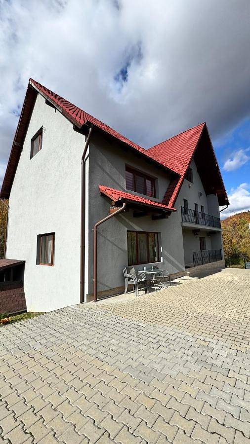 Location de vacances pour 20 personnes, avec jacuzzi et jardin dans Mureș - 2