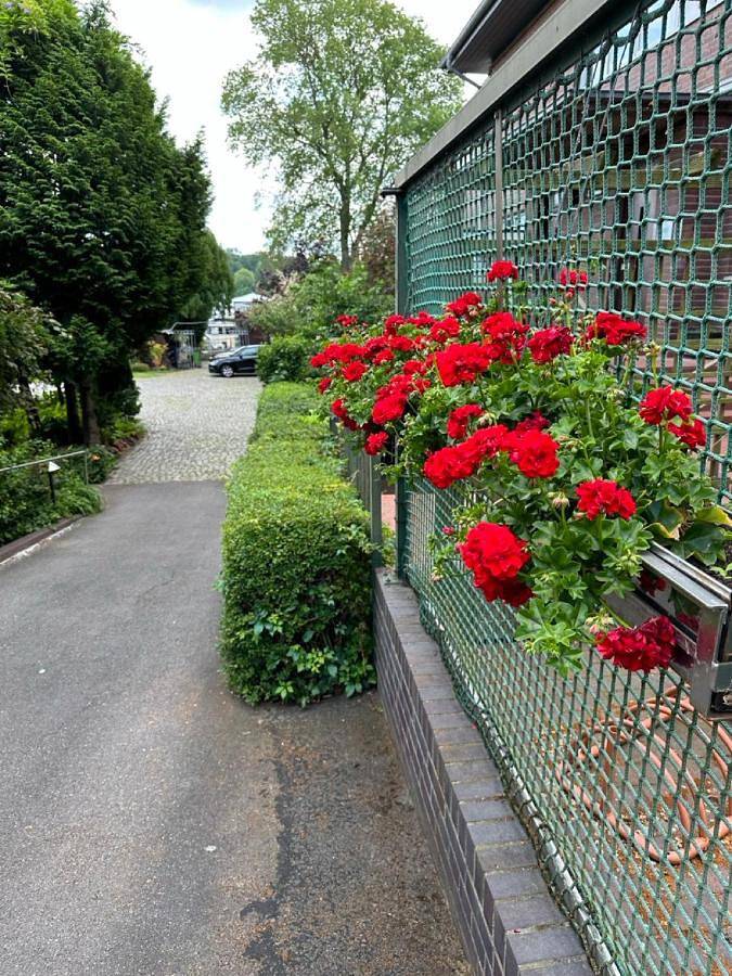 Pension am Tiefen See in Schloss Sanssouci, Potsdam und Umgebung