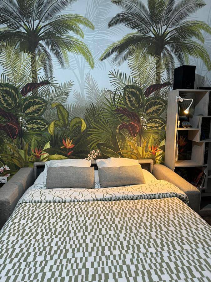 Location de vacances pour 12 personnes, avec jacuzzi ainsi que piscine et jardin à Tourcoing - 3