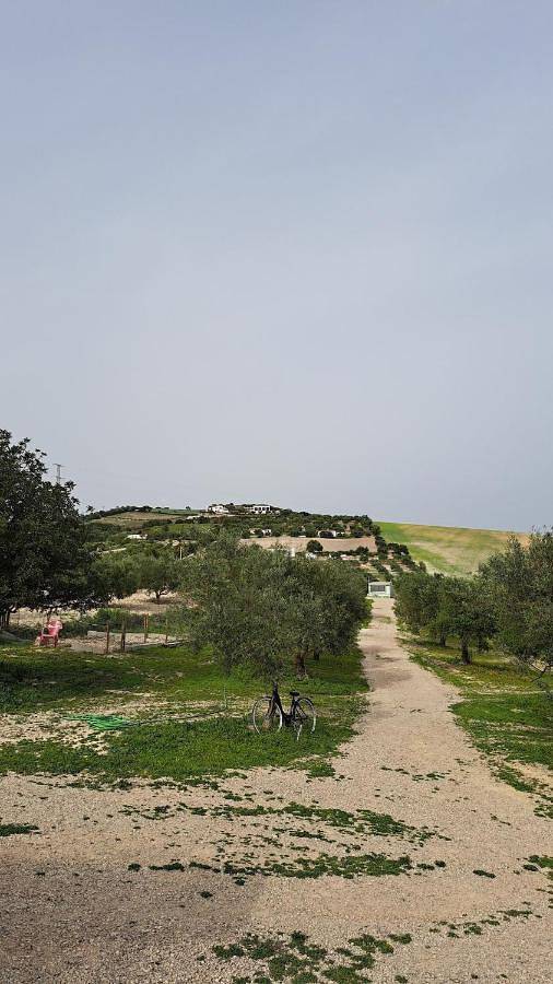Gîte pour 4 personnes, avec vue ainsi que jardin et piscine, animaux acceptés à Arcos de la Frontera - 3