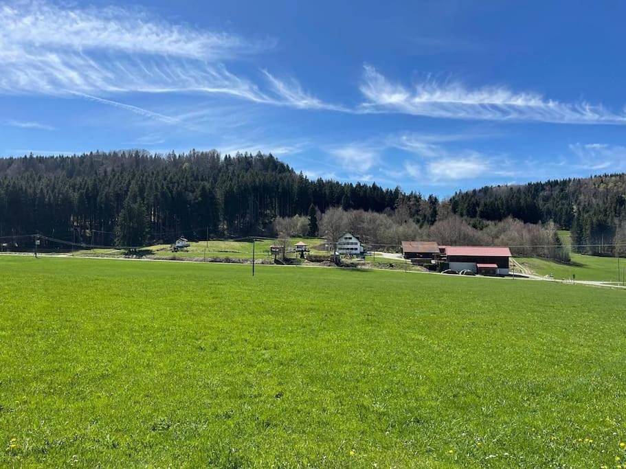 Ganze Wohnung, Idyllisches Ferienapartment Allgäu (Ehwiesmühle) in Bad Grönenbach, Bayerisch Schwaben