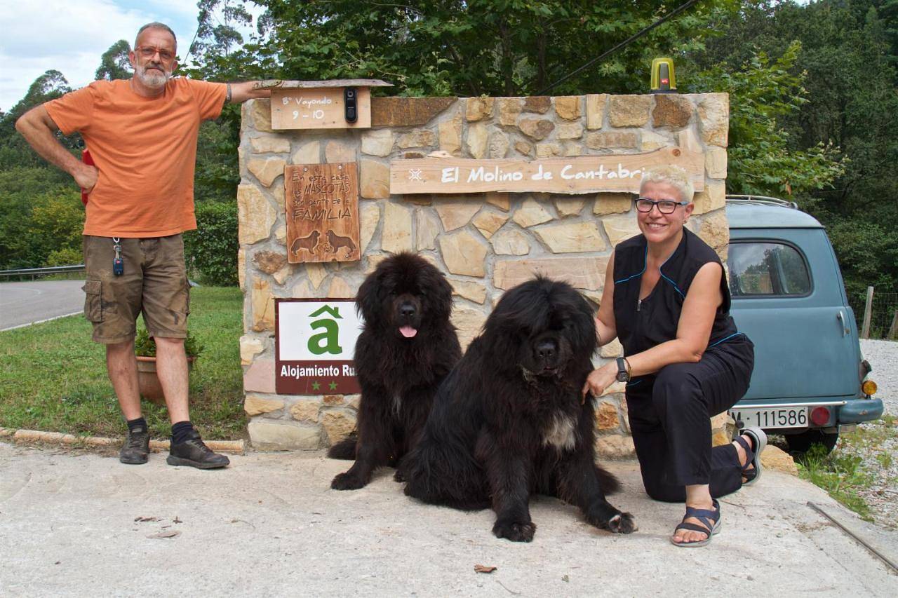 Posada Petfriendly El Molino de Cantabria - Hotel Rural B&B - in Entrambasaguas, Costa de Cantabria
