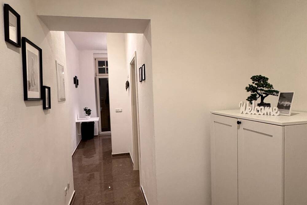 Ganze Wohnung, Gemütliche 2 Raum Wohnung am Südring in Magdeburg, Elbe-Börde-Heide