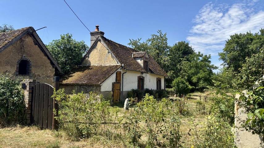 Maison de campagne pour 4 personnes, avec Terrasse et Jardin à Tannerre-en-Puisaye