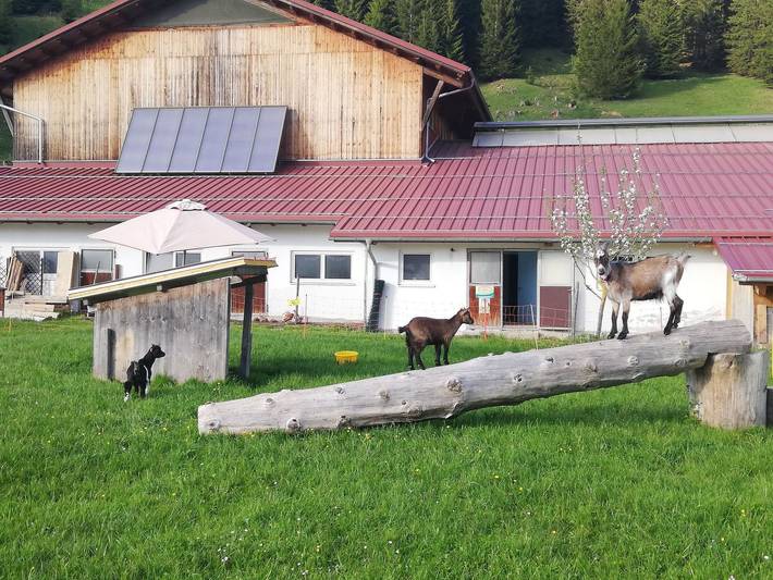 Lenzerhof - Ferienwohnung 1 in Grän, Allgäuer Alpen (Österreich)