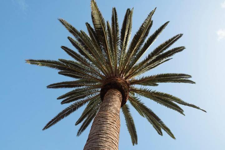 Apartamento de vacaciones para 2 personas, con vistas y jardín - 1