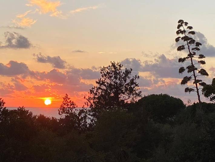 Maison d’hôte pour 2 personnes, avec vue ainsi que piscine et jardin à Pietrosella - 3