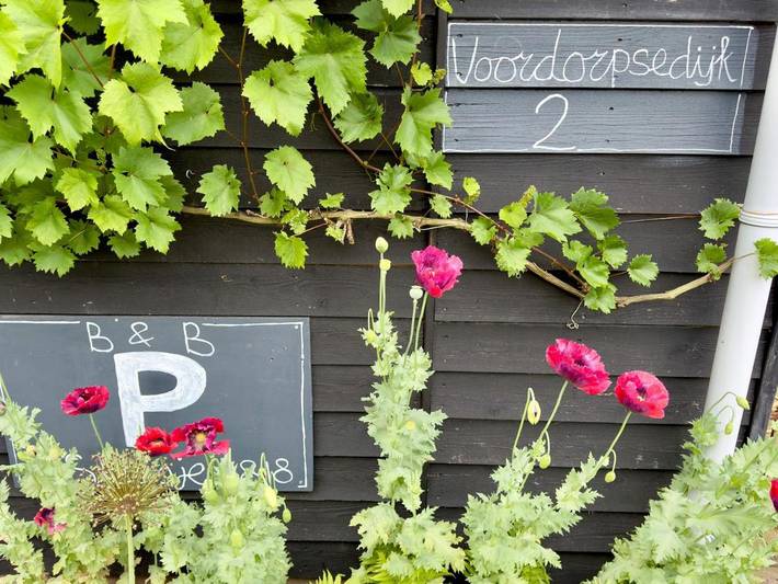 Chambre d’hôte pour 2 personnes, avec jardin et vue à Utrecht - 3