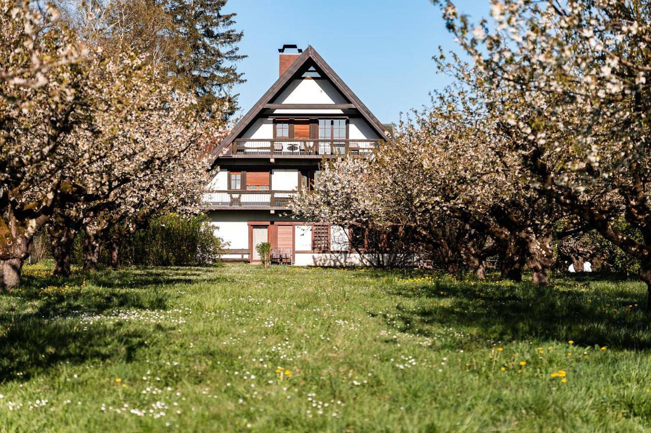 Gästehaus Obsthof Gottenheim in Gottenheim, Südschwarzwald