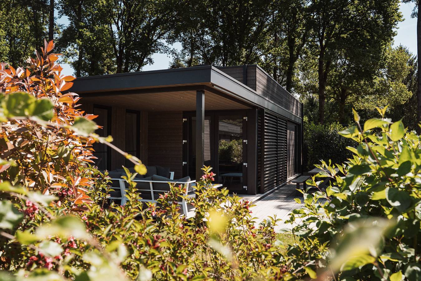 Soof Heuvelrug — Luxe Lodge (6p) in Provincie Utrecht