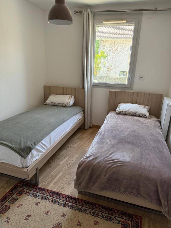 Gîte pour 6 personnes, avec terrasse à Ferney-Voltaire - 4