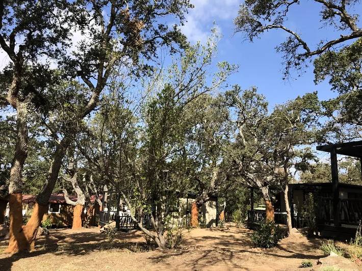 Camping pour 6 personnes, avec terrasse et piscine en Corse-du-Sud - 2