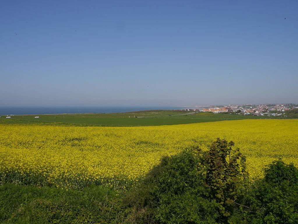 La Baie Saint Jean, face mer et campagne, jardins d'Honvault in Wimereux, Région de Boulogne-sur-Mer