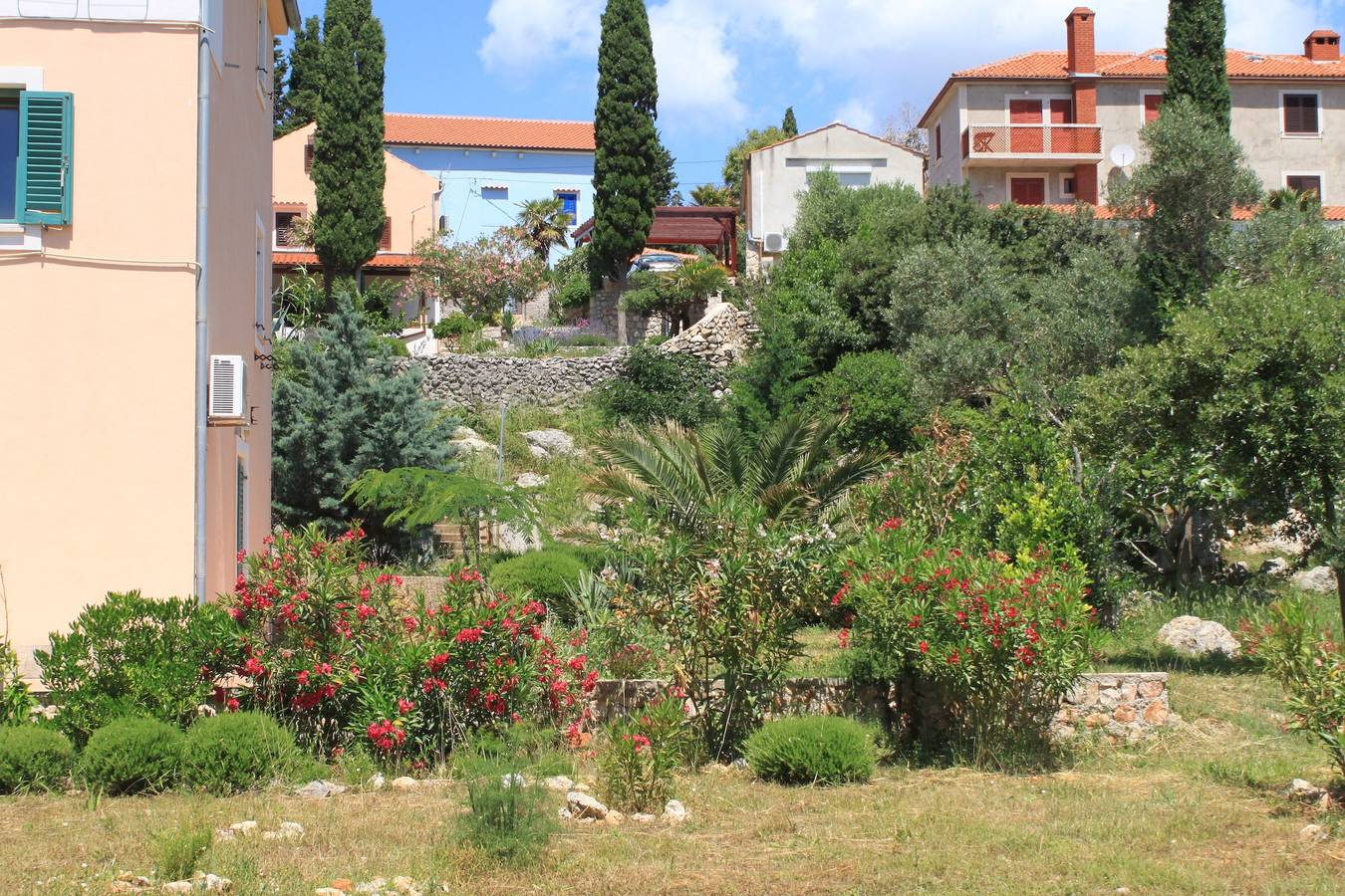 Ganze Wohnung, 1-Zimmer-Ferienwohnung mit Terrasse und Meerblick Sveti Jakov, Losinj A-8011-a in Cunski, Kvarner Inseln