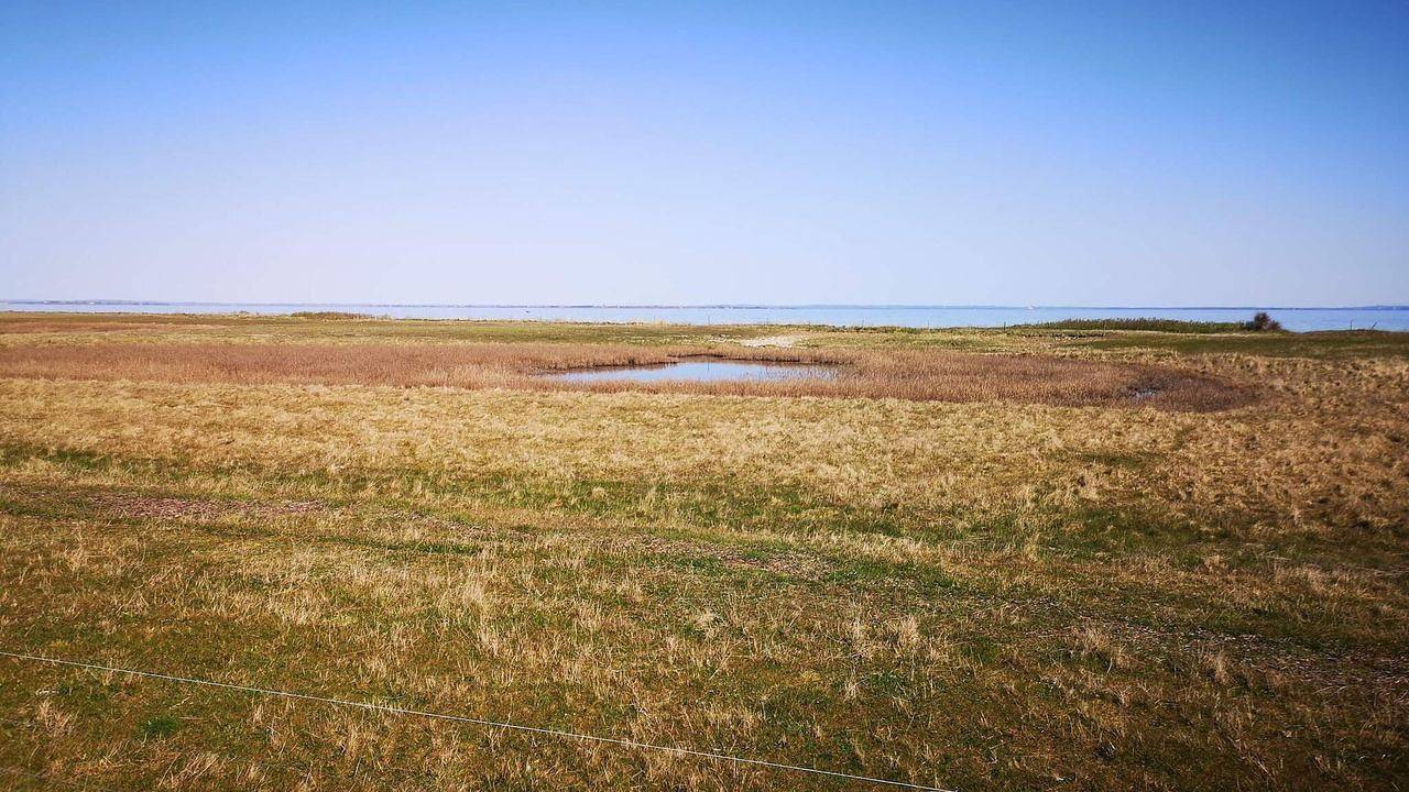 Ferienhaus für 4 Personen (55 m²) in Ærøskøbing in Ærøskøbing, Lillebælt