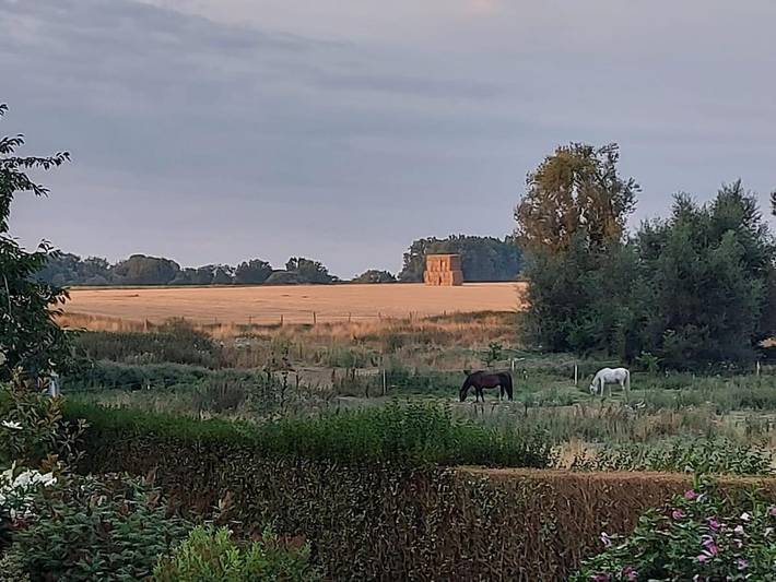 Gîte pour 6 personnes à Ramillies - 2