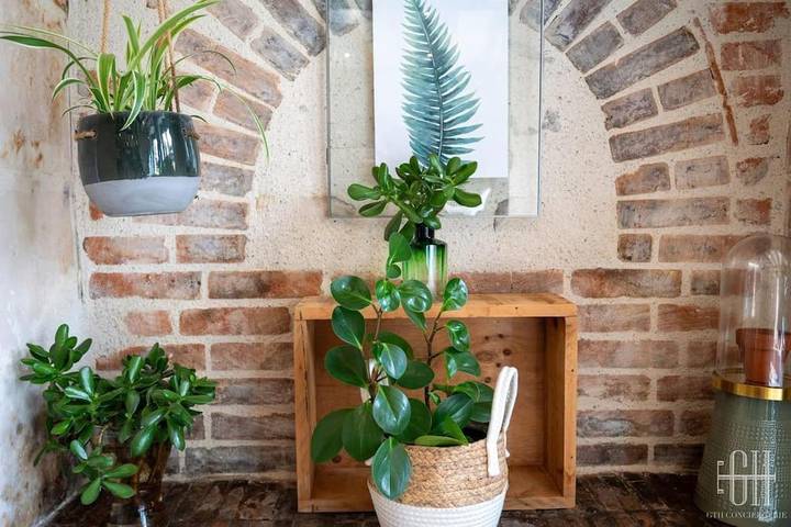 Gîte pour 4 personnes, avec jardin à Veigné - 4