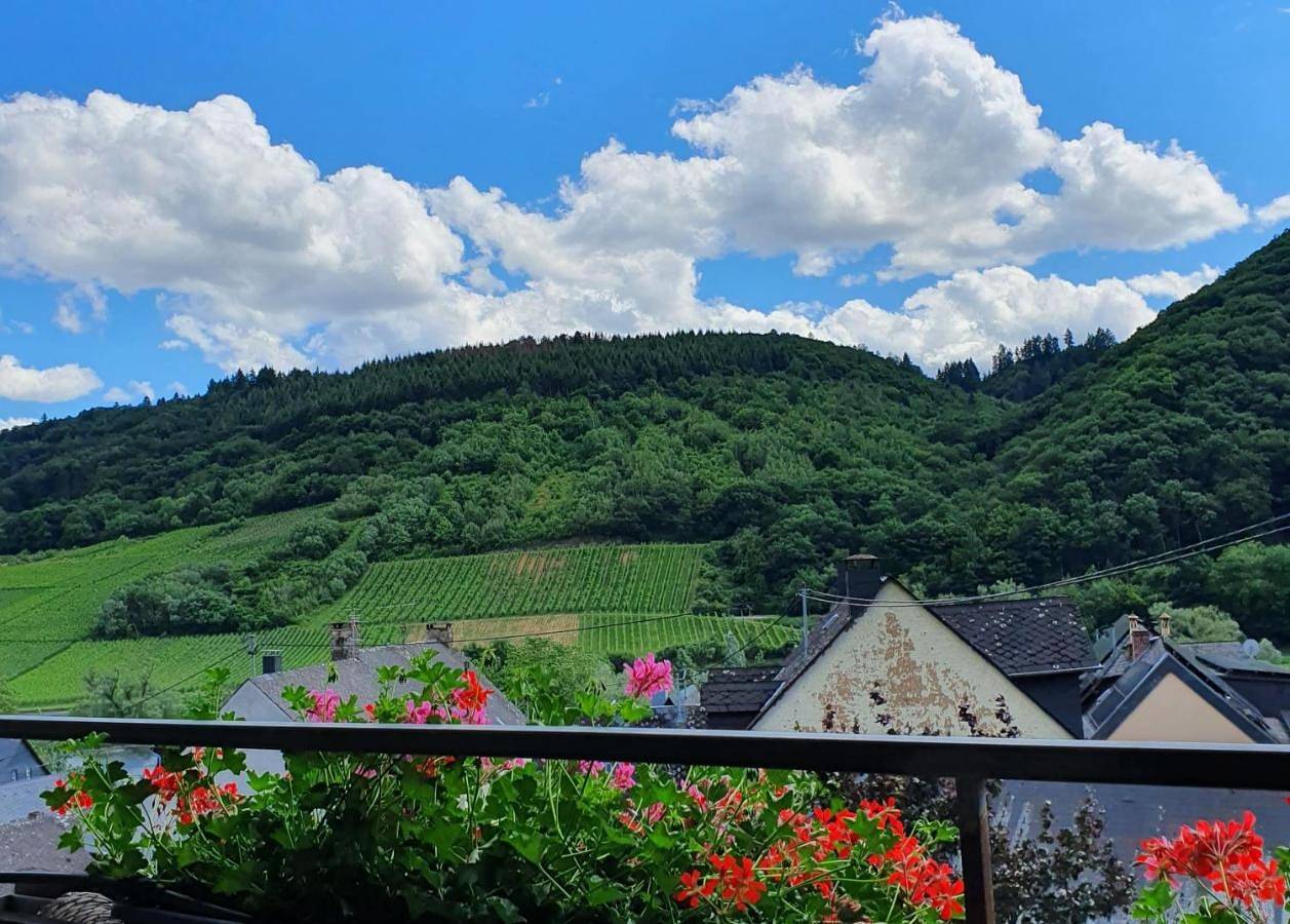 Ferienweingut Stein in Valwig, Cochem-Zell
