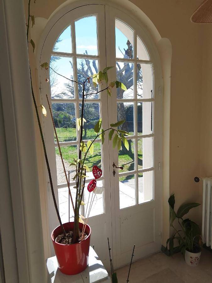 Location de vacances pour 8 personnes, avec vue ainsi que jardin et piscine, animaux acceptés à Chamaret - 4