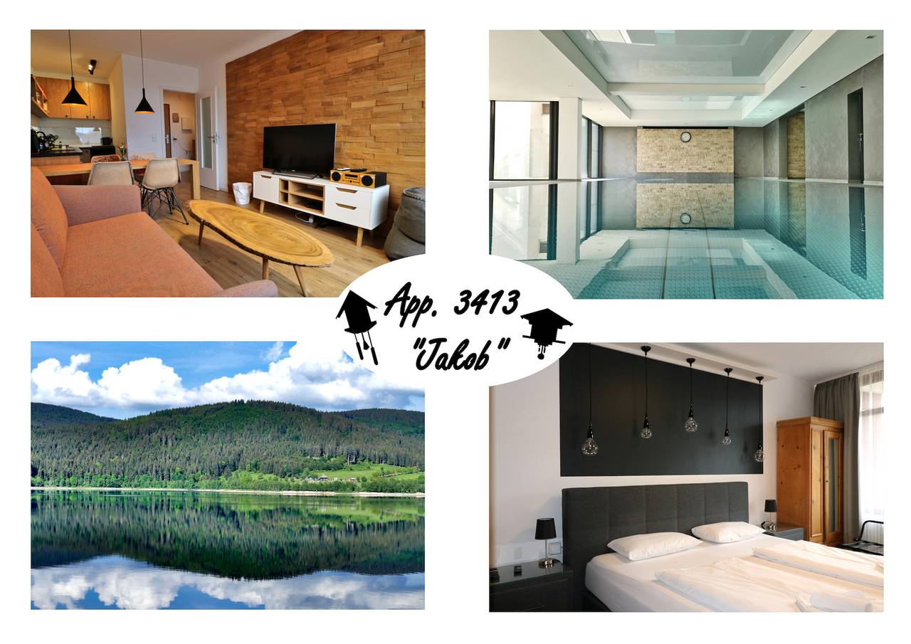 Apartamento vacacional entero, Apartamento de vacaciones para 4 personas con sauna in Schluchsee, Selva Negra (zona sur)