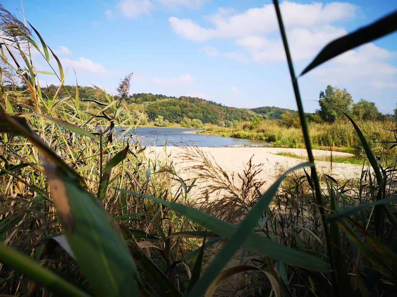 Cozy Tiny House mit Kamin an der Elbe (403) in Bleckede, Mecklenburgisches Elbetal