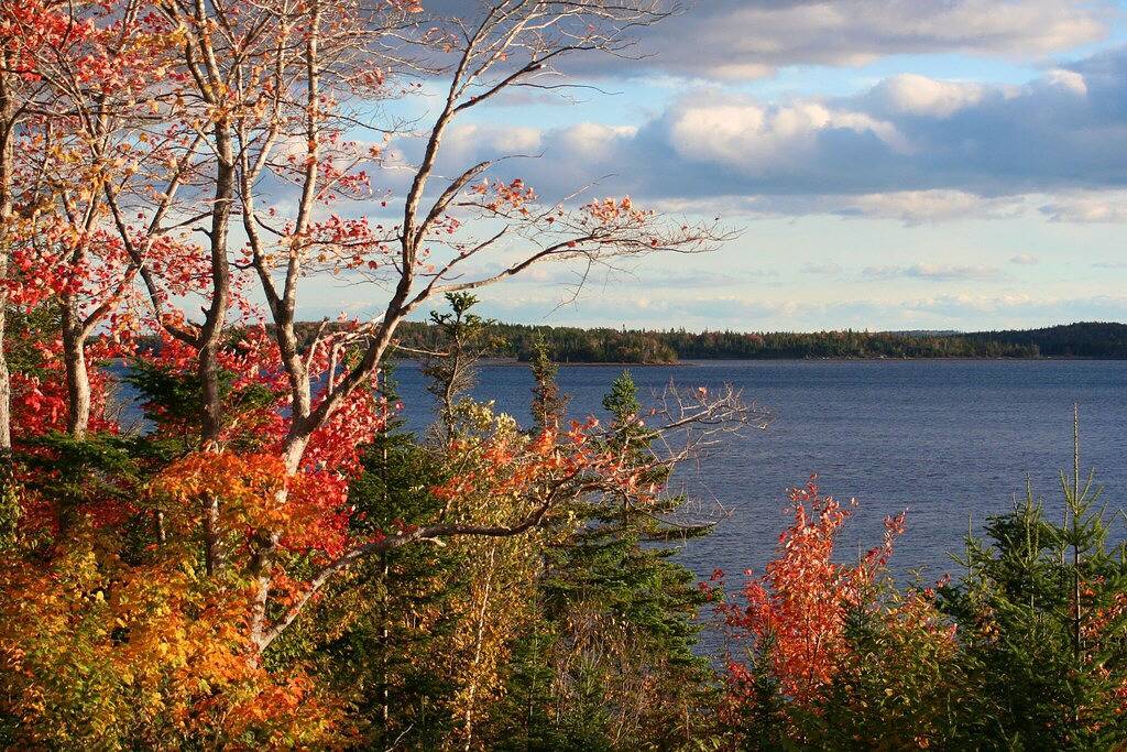 Direkt Am Meer mit phantastischem Panoramablick und Privatstrand + Steg in Walkerville, Richmond County