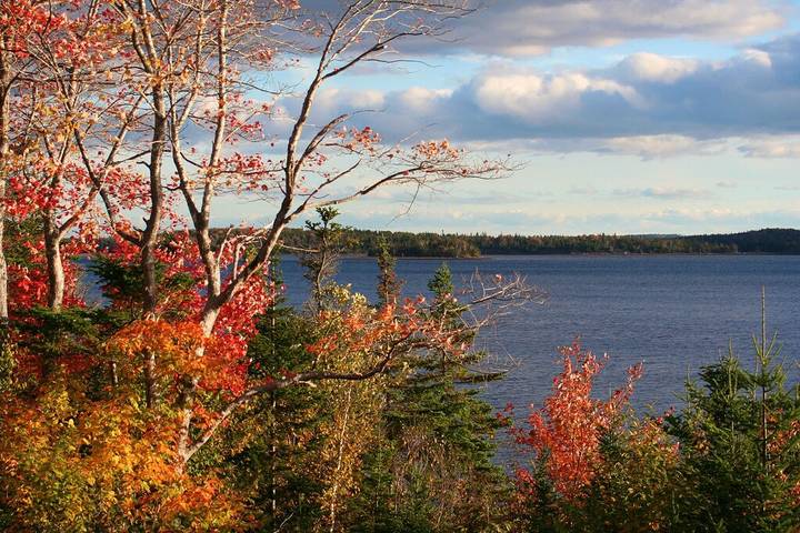 Ferienhaus für 6 Personen, mit Garten und Terrasse - 1