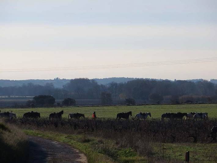 Location de vacances pour 8 personnes, avec jardin ainsi que piscine et sauna à Junas - 3