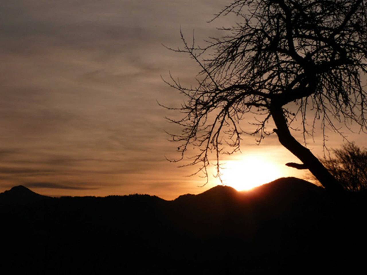 Oberkollerhof - Ferienwohnung Gabi in Gmund, Bayerische Alpen