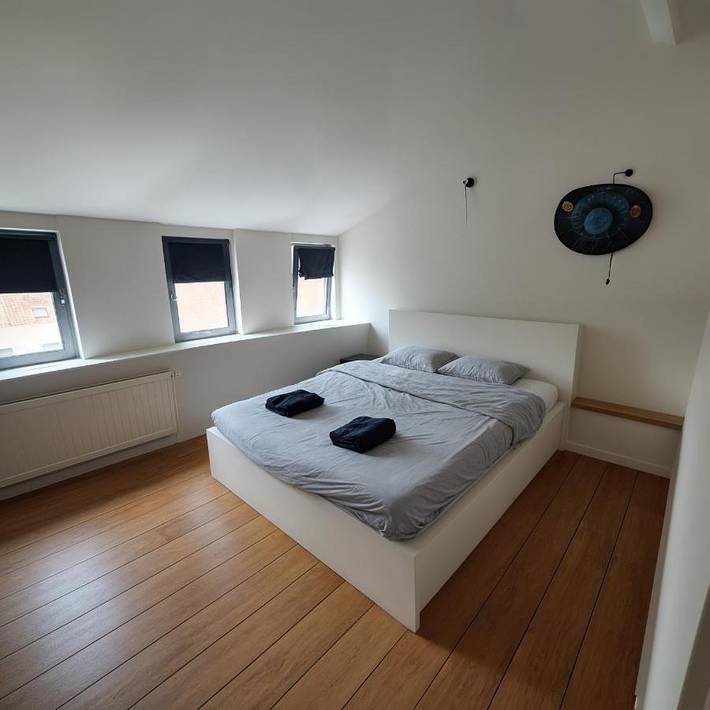 Loft voor 6 personen, met uitzicht, met huisdier in Brussel