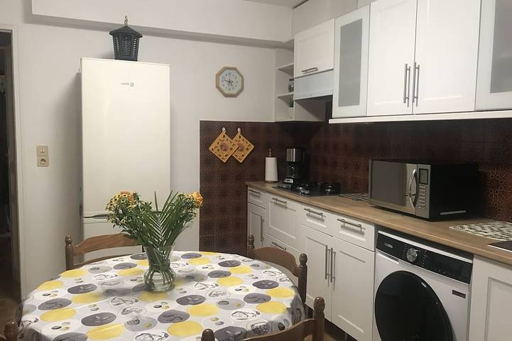Appartement de vacances pour 4 personnes, avec terrasse et jardin, animaux acceptés - 1