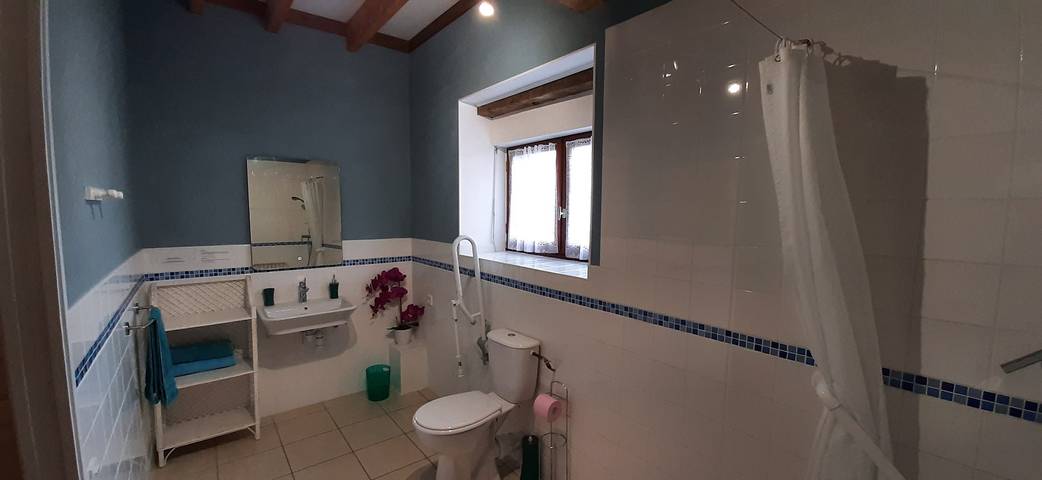 Gîte pour 9 personnes, avec piscine ainsi que jardin et terrasse à Montreuil-sur-Maine - 4