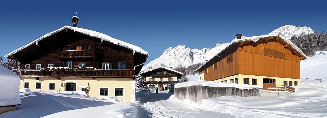 Ganze Ferienwohnung, Ferienhaus in Mühlbach am Hochkönig, Ski Amadé
