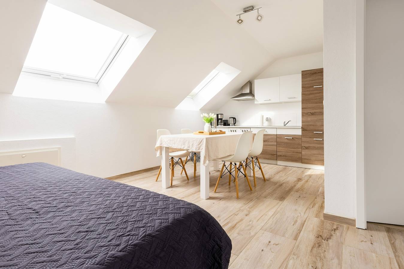 Geheel vakantieappartement, Vakantieappartement voor 6 personen met tuin in Tecklenburg, Münsterland