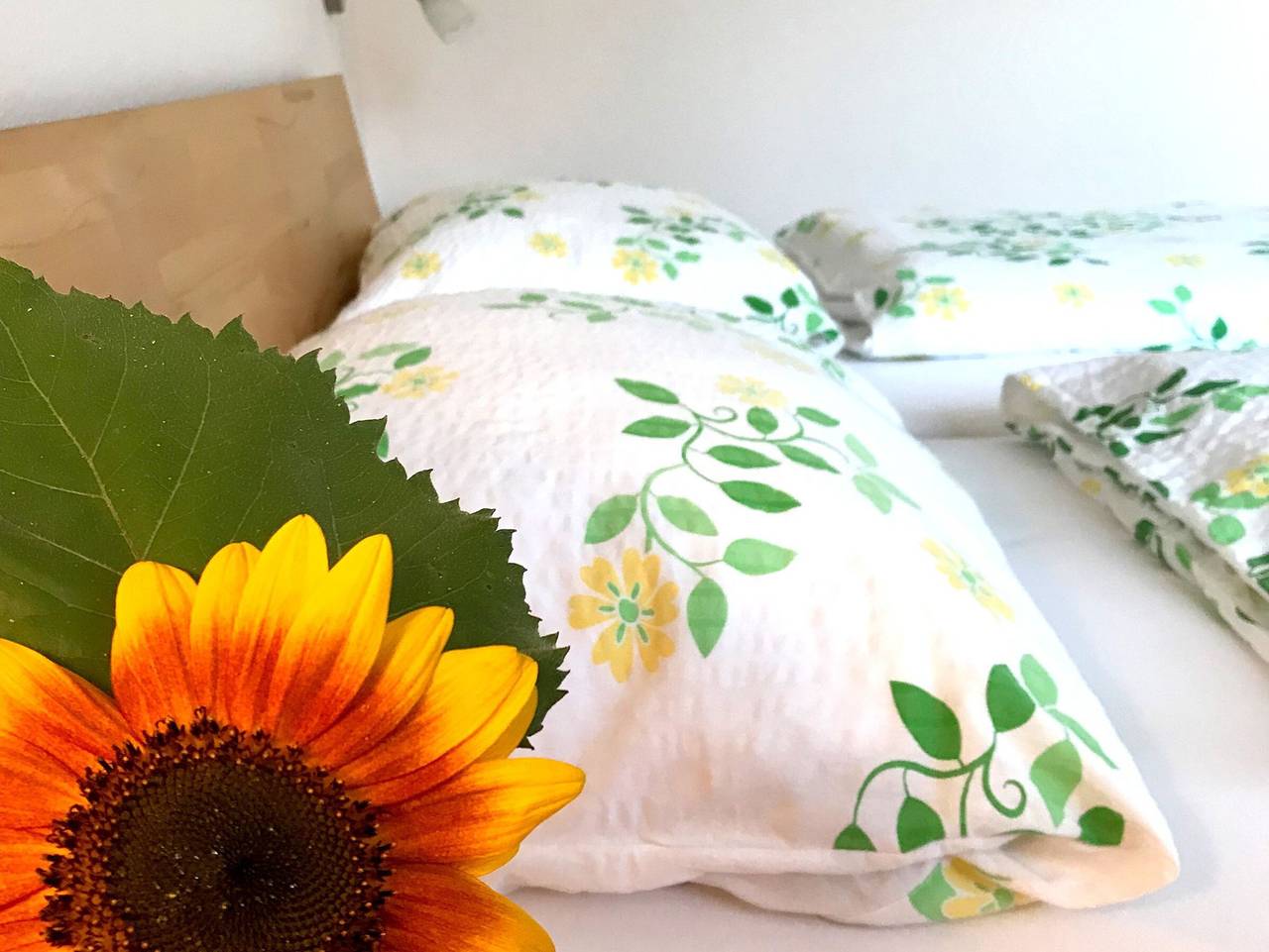 Apartamento entero, Apartamento 'Ferienwohnung Im Obergeschoss' con jardín compartido, balcón y Wi-Fi in Tettnang, Region Bodensee-Oberschwaben