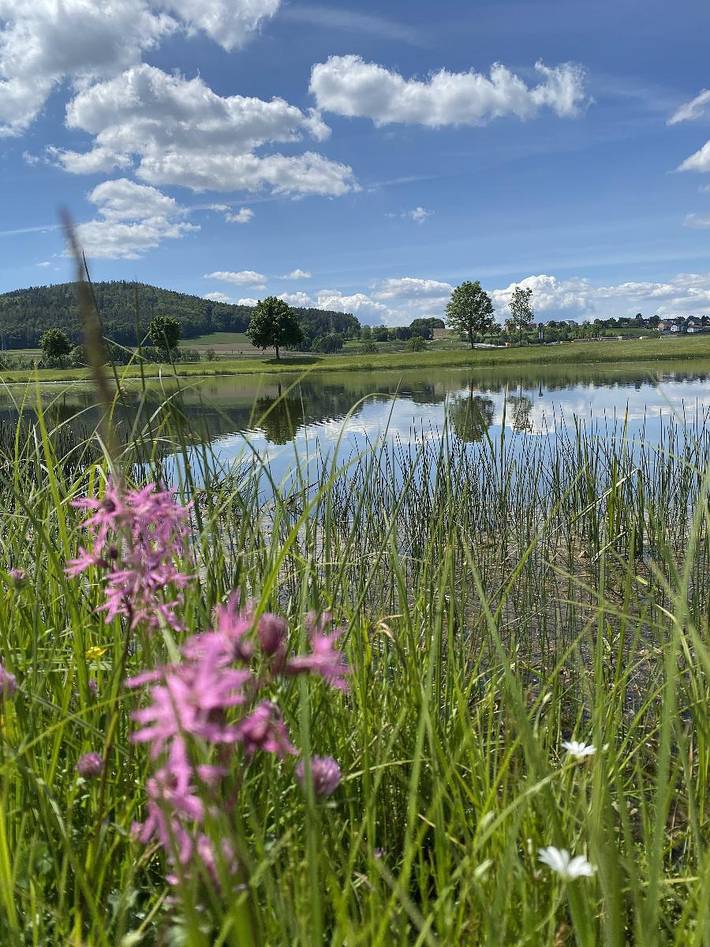 Ganze Ferienwohnung, Naturspiel - Ferienwohnung Vogelsang Eg in Pösing, Ostbayern