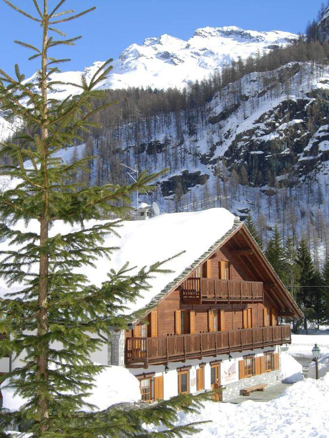 Residence per 2 persone, con panorama e giardino nonché sauna, con animali domestici - 1