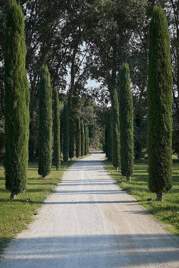 Maison d’hôte pour 2 personnes, avec jardin et piscine à Monteux - 3