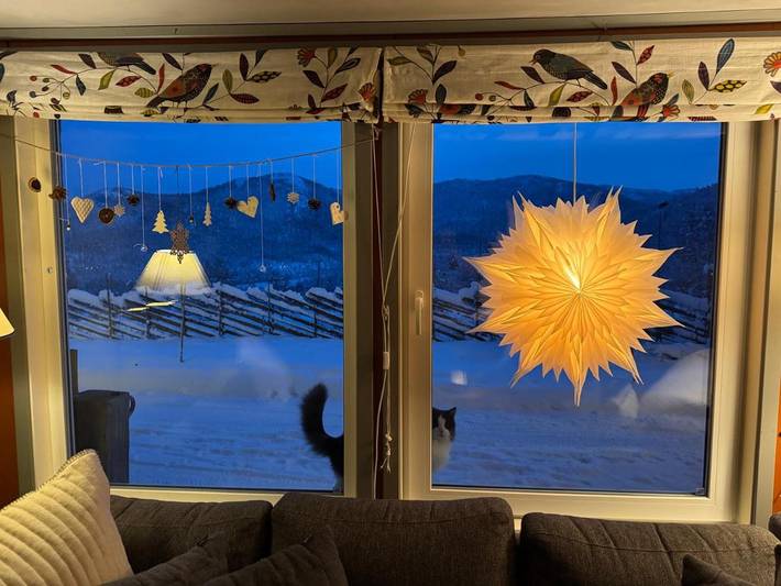 Gîte pour 4 personnes, avec vue ainsi que sauna et jardin à Geilo - 2