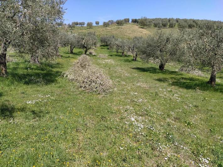Location de vacances pour 3 personnes, avec jardin ainsi que vue et balcon à Ariano Irpino - 2