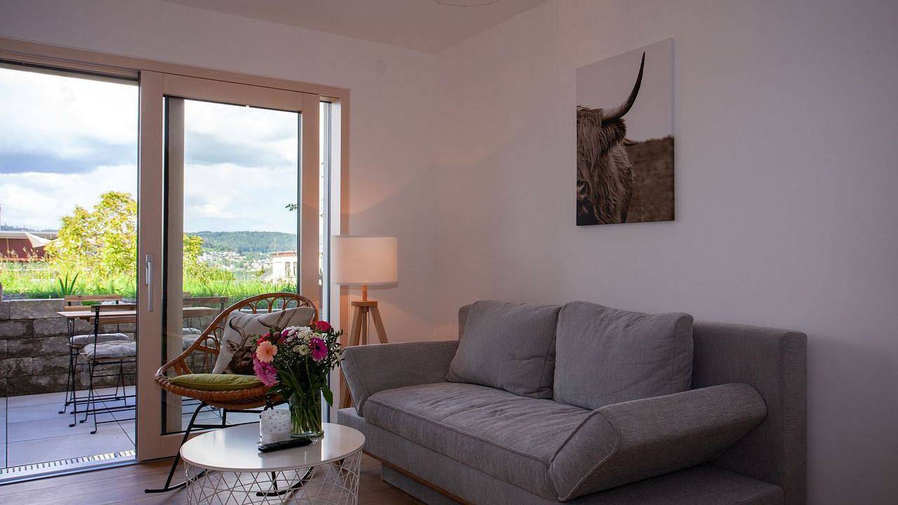 Ganze Ferienwohnung, Ferienwohnung für 2 Personen (39 m²) in Bodman-Ludwigshafen in Bodman-Ludwigshafen, Obersee (Bodensee)