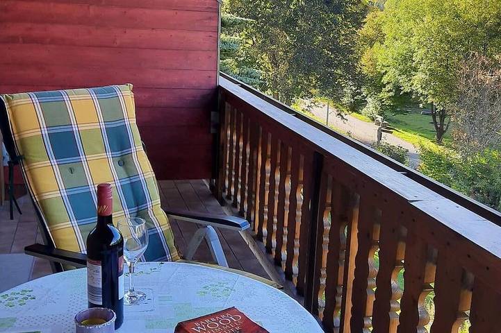 Ganze Wohnung, Appartement für 2 bis 3 Personen in ruhiger Lage mit separatem Schlafzimmer in Bayerisch Eisenstein, Arberland