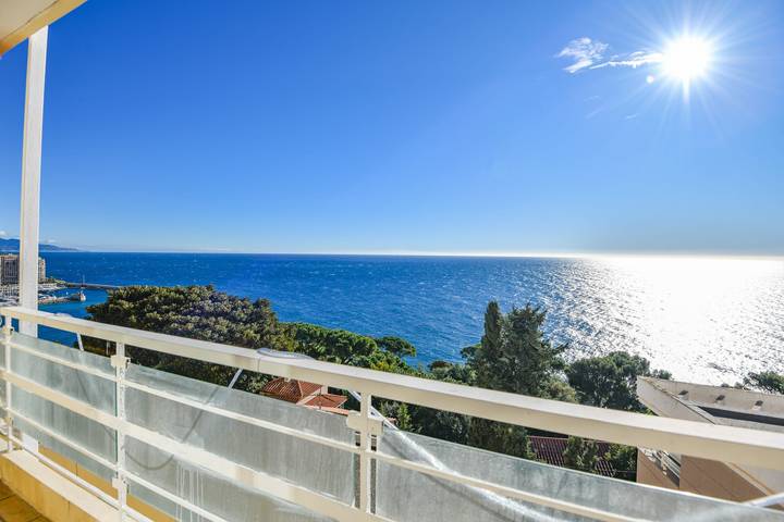Appartement entier, Appart vue mer splendide et plage proche de Monaco in Cap-d'Ail, Côte méditerranéenne (France)