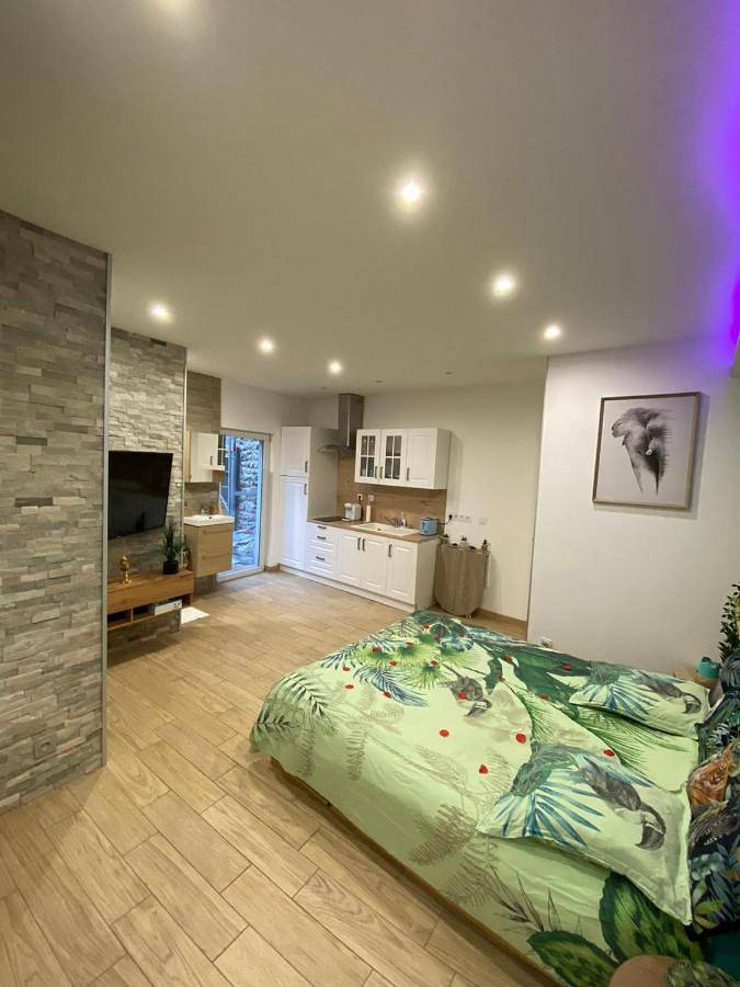 Appartement entier, Le Menhir 2 Jacuzzi Spa Terasse Barbecue in La Roche-Blanche, Parc naturel régional des Volcans d'Auvergne