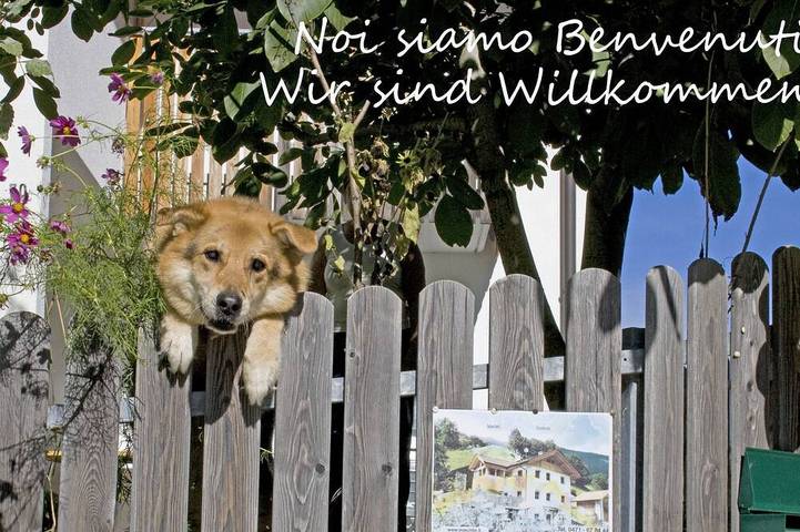 Ganze Wohnung, App. 3  Auhaus  Wohnung mit Wiese und Brünnlein für 2 Personen  max. 4 Personen in Martell, Nationalpark Stilfser Joch