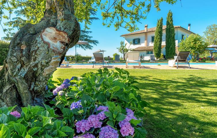 Holiday rental for 18 people in Lazio