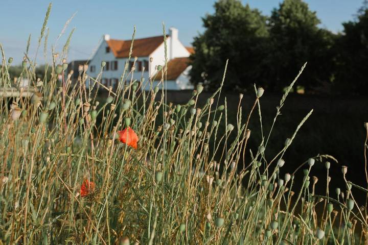 Chambre d’hôte pour 2 personnes, avec jardin et vue, adapté aux familles à Heist-op-den-Berg - 3