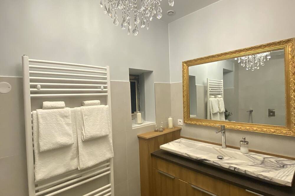 Charming and atypical castle located in town with a green park and swimming pool! in Villeurbanne, Rhône