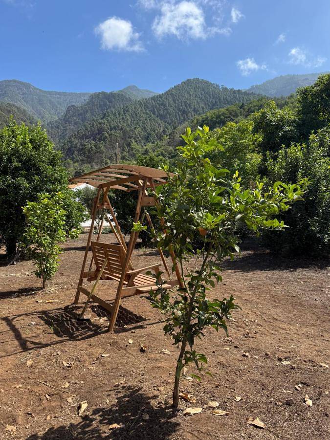 Casa rural para 3 personas, con jardín y vistas en La Orotava - 4
