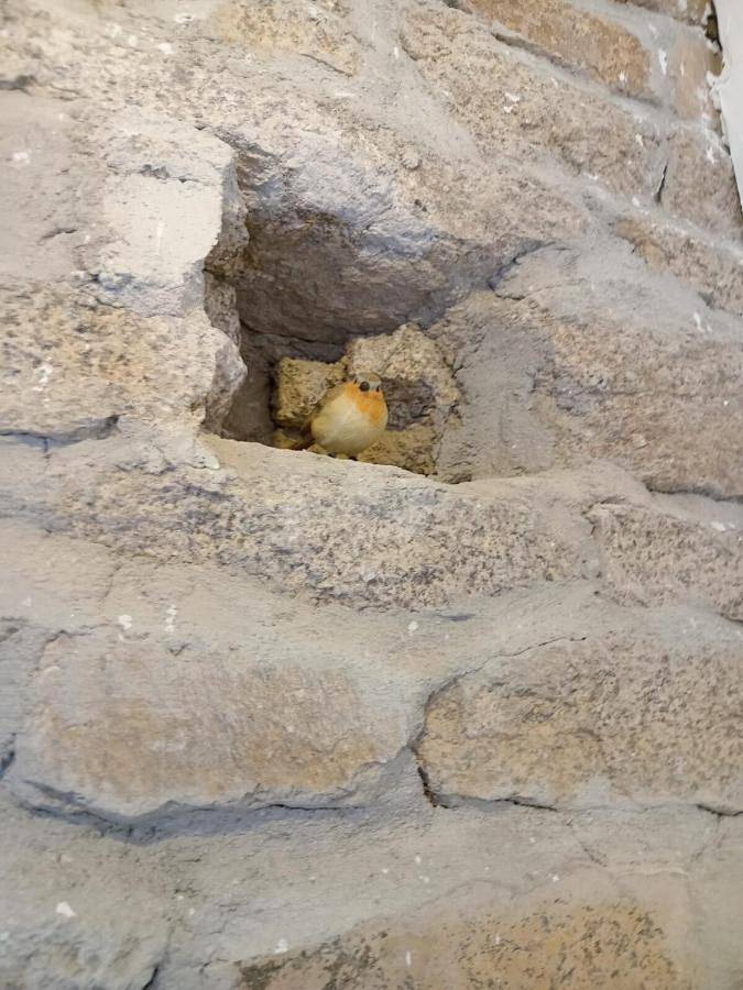 Location de vacances pour 2 personnes, avec vue ainsi que terrasse et jardin, animaux acceptés dans Forêt d'Huelgoat - 2